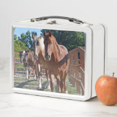 納屋に戻って先頭に立たれる馬 メタルランチボックス (インサイチュ)