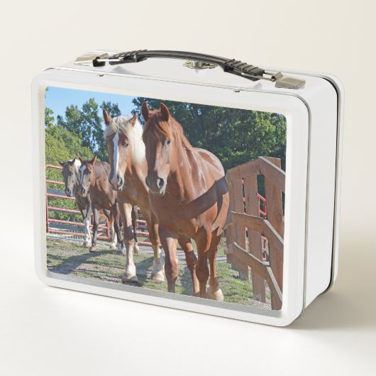 納屋に戻って先頭に立たれる馬 メタルランチボックス (裏面)