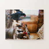 納屋の中の鶏と鶏 ジグソーパズル (横)