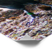 納屋の中の鶏と鶏 ポスター (角)