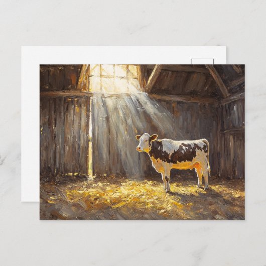 納屋の乳牛素朴 ポストカード (正面/裏面)
