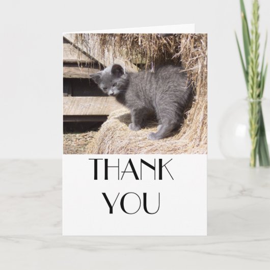 納屋の子猫 サンキューカード (正面)