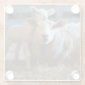 納屋の干し草にあるドイツ、ヒツジおよび子ヒツジ ガラスコースター (裏面)