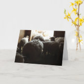 納屋の戸の近くに立つ羊の「外に行こう」 カード (黄色い花)