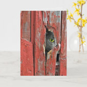 納屋の木の穴を覗く猫 カード (黄色い花)