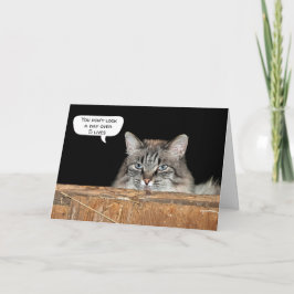 納屋の猫の誕生日 カード