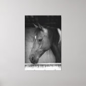 納屋の美しい馬 モノクロ キャンバスプリント (正面)
