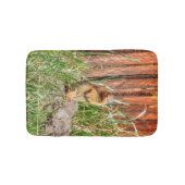 納屋の野生動物の写真による黄色いベリーズのマルモット バスマット (正面)
