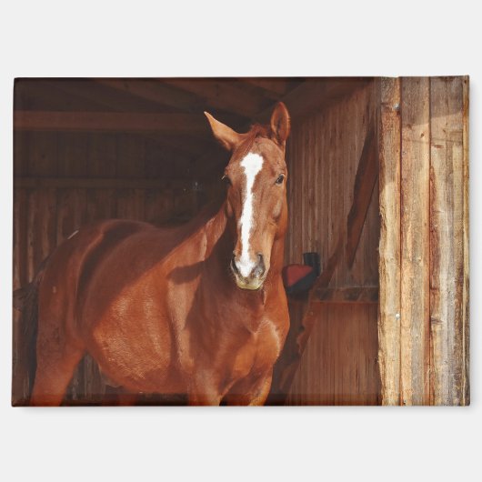 納屋の馬マグネット マグネット (正面)