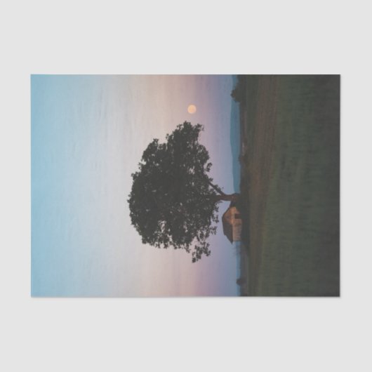 納屋を守る大きな単生の木 薄葉紙 (正面)