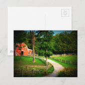 納屋ヤードの農場の家猫 ポストカード (正面/裏面)