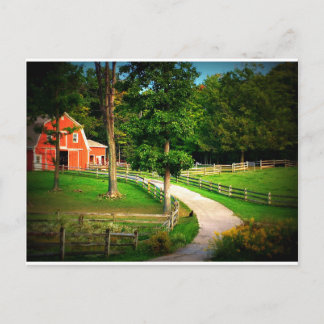 納屋ヤードの農場の家猫 ポストカード