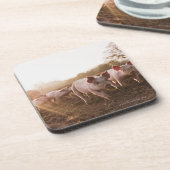 納屋周囲の庭のコブタ コースター (左側)