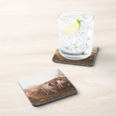 納屋周囲の庭のコブタ コースター (右側)