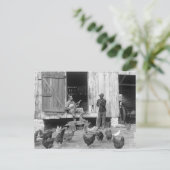 納屋周囲の庭のバンジョーPlayer 1927年 ポストカード (スタンド正面)