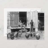 納屋周囲の庭のバンジョーPlayer 1927年 ポストカード (正面/裏面)