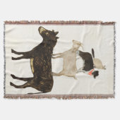 納屋周囲の庭バッド – ロバ、ヤギ、犬、猫 スローブランケット (正面)