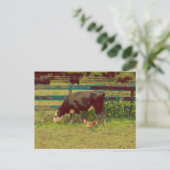 納屋周囲の庭フレンズカウアンドチキン ポストカード (スタンド正面)