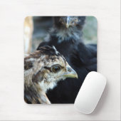 納屋周囲の庭ミックスチックス マウスパッド (マウス)