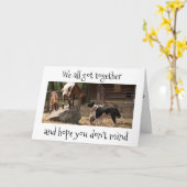 *納屋周囲の庭動物* 「お使いの誕生日」のパーティー カード (黄色い花)