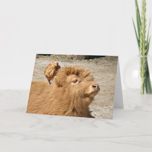 納屋周囲の庭友達 カード (正面)