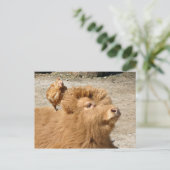 納屋周囲の庭友達 ポストカード (スタンド正面)