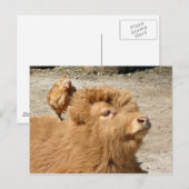 納屋周囲の庭友達 ポストカード (正面/裏面)