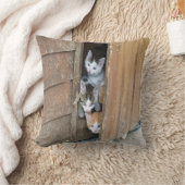 納屋周囲の庭子猫 クッション (ブランケット)