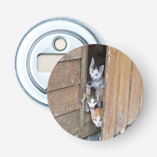 納屋周囲の庭子猫 栓抜き (正面)