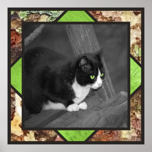 納屋周囲の庭猫ポスター ポスター (正面)