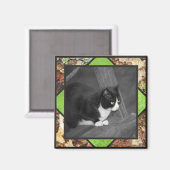 納屋周囲の庭猫マグネット マグネット (正面/裏面)