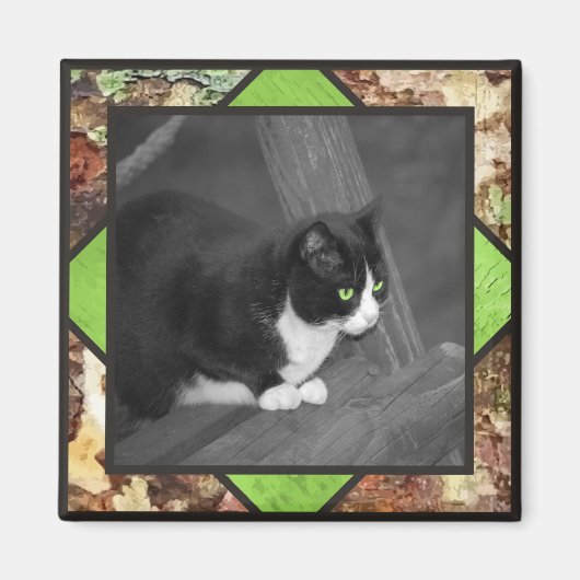 納屋周囲の庭猫マグネット マグネット (正面)