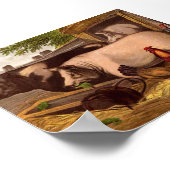 納屋周囲の庭豚 ポスター (角)