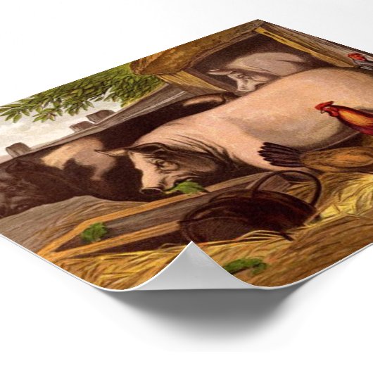 納屋周囲の庭豚 ポスター (角)