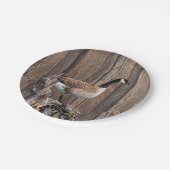 納屋板のカナダのガチョウ ペーパープレート (アングル)