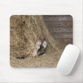 納屋猫 マウスパッド (マウス)