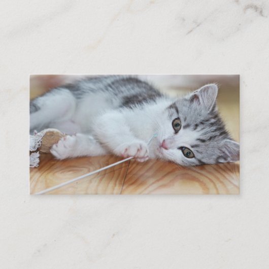 紐で遊ぶかわいい子猫 名刺 (正面)