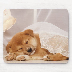 純カーテンの下で眠っている柴犬の子犬 マウスパッド