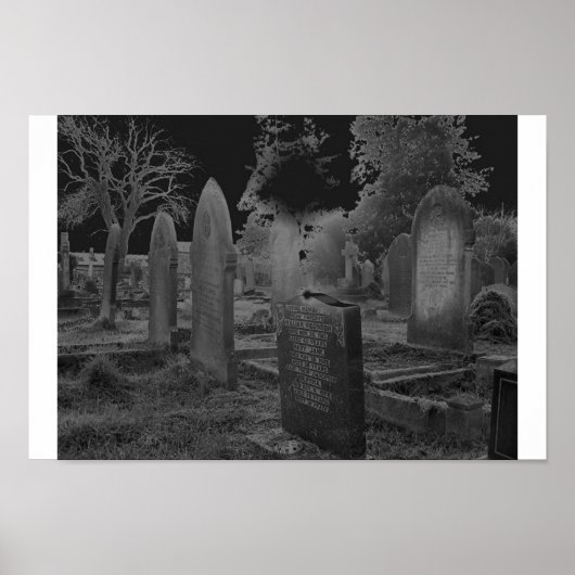 純化 ポスター (正面)