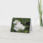 純度と平和… カード (正面)