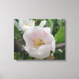 純度キャンバス キャンバスプリント