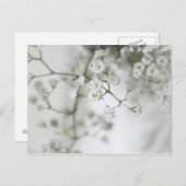 純度葉書 ポストカード (正面/裏面)