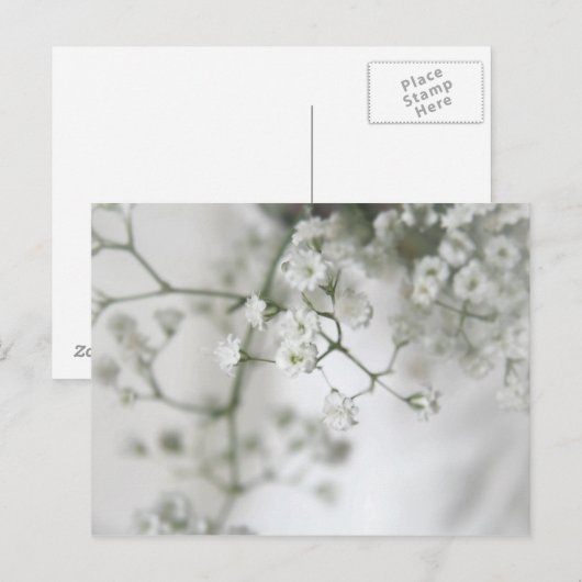 純度葉書 ポストカード (正面/裏面)