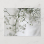 純度葉書 ポストカード (正面)