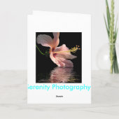 純度 カード (裏面)