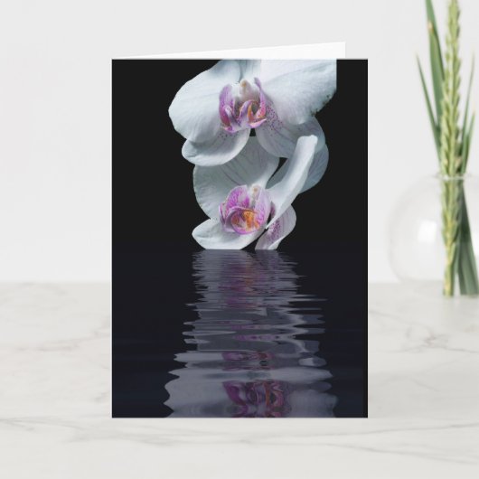 純度 カード (正面)