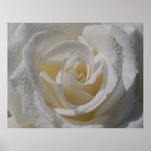 「純度」ポスター ポスター (正面)