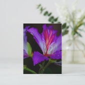 純度 ポストカード (スタンド正面)