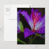 純度 ポストカード (正面/裏面)