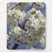 純度 マウスパッド (正面)